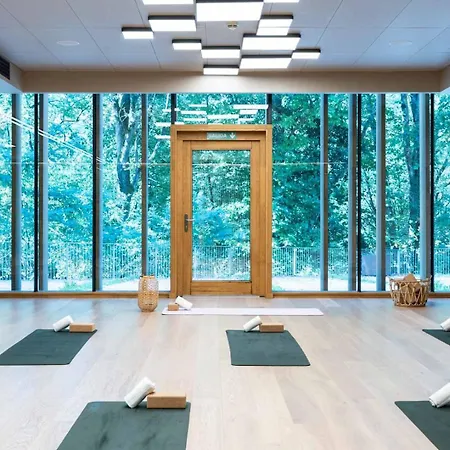 Arima & - Small Luxury