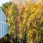 酒店 阿里马酒店 4*