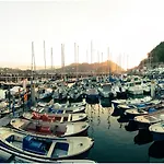 阿里马酒店 酒店