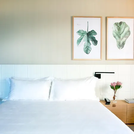 Arima & - Small Luxury